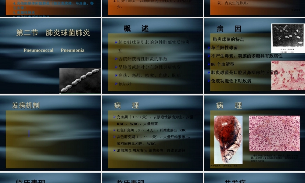 5肺炎和肺脓肿.pptx