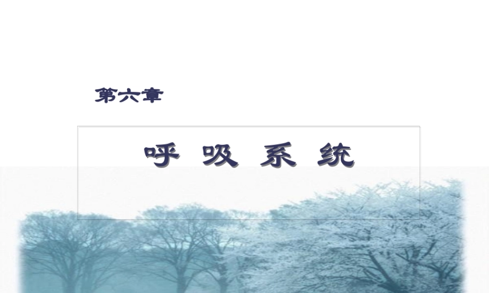 6----呼吸系统.pptx