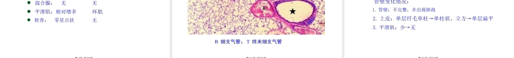 6----呼吸系统.pptx