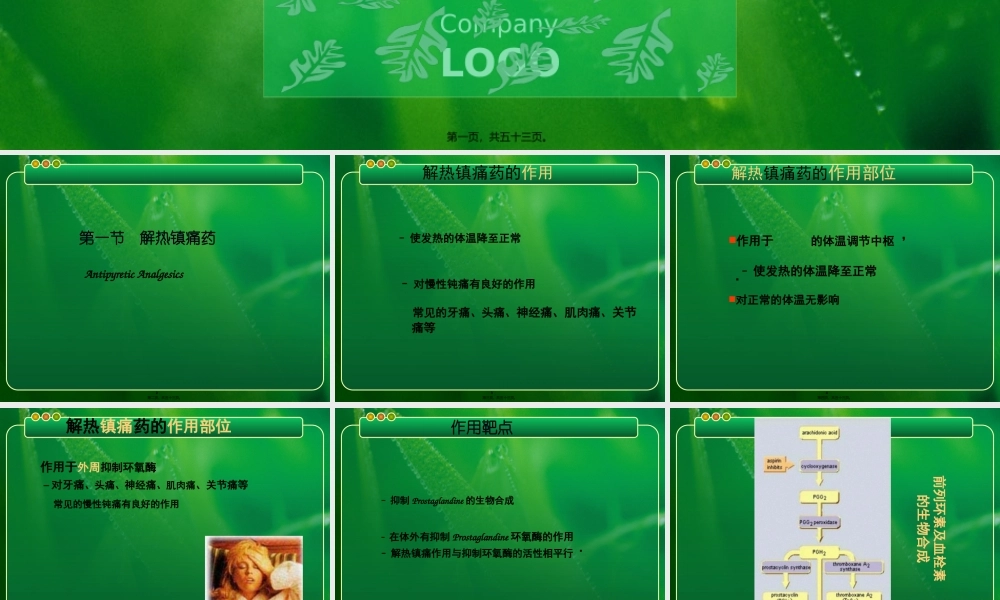 6-1解热镇痛抗炎药.pptx