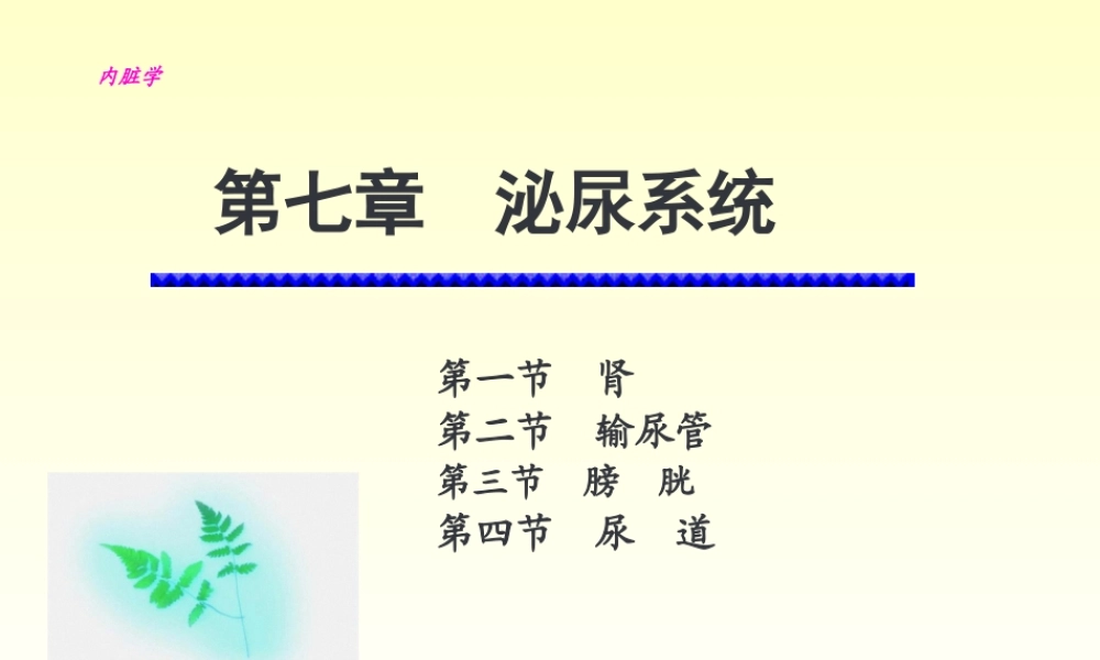 6-泌尿系统.pptx
