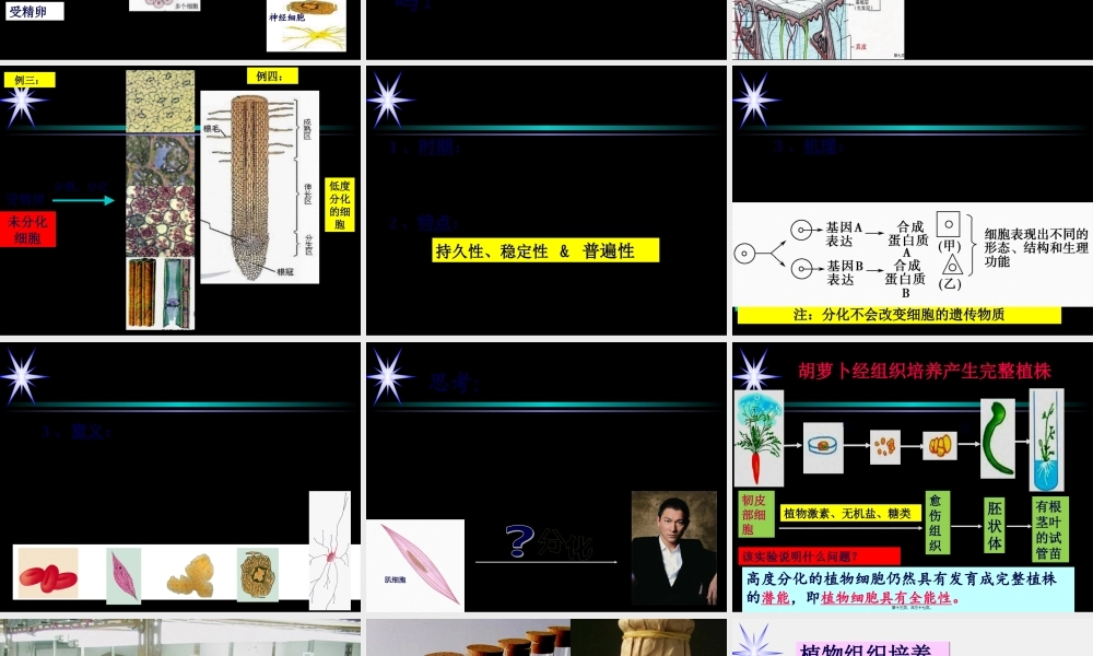 6.2-细胞分化-(共36张PPT).pptx