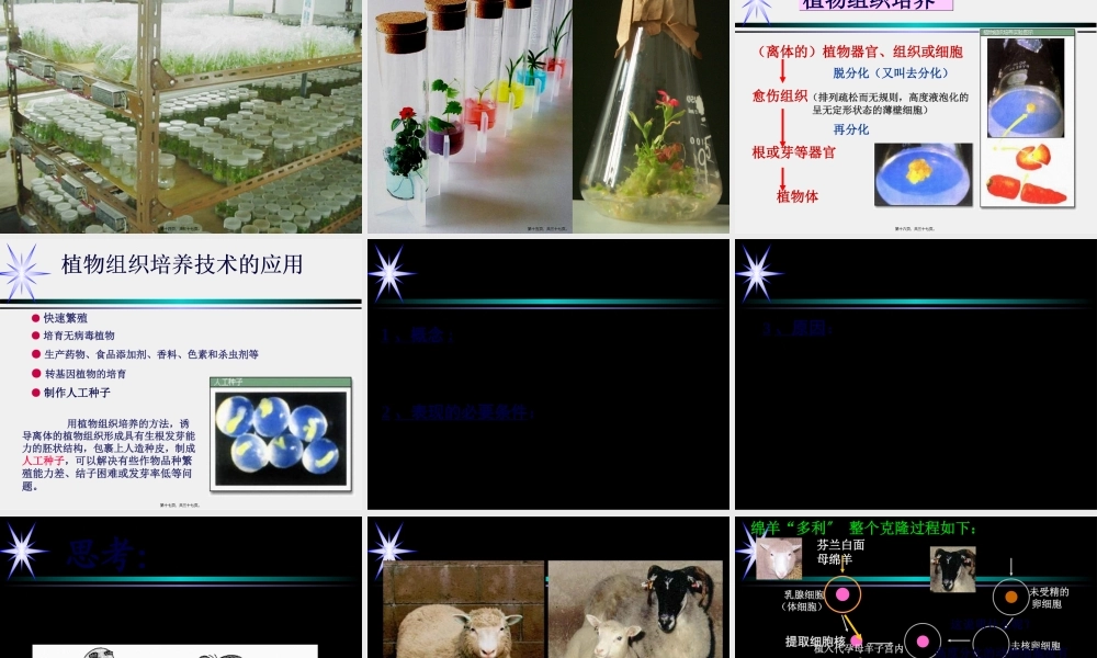 6.2-细胞分化-(共36张PPT).pptx