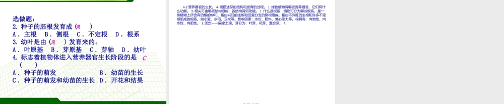 6.2营养器官的生长.pptx