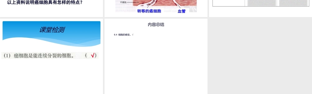 6.4细胞的癌变.ppt