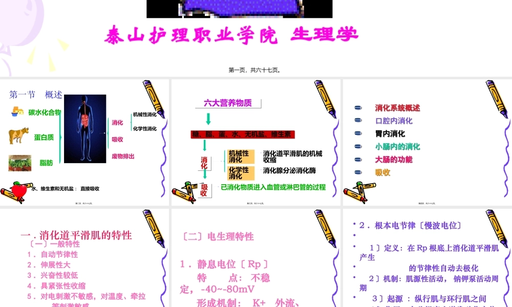 6.消化与吸收概述.pptx