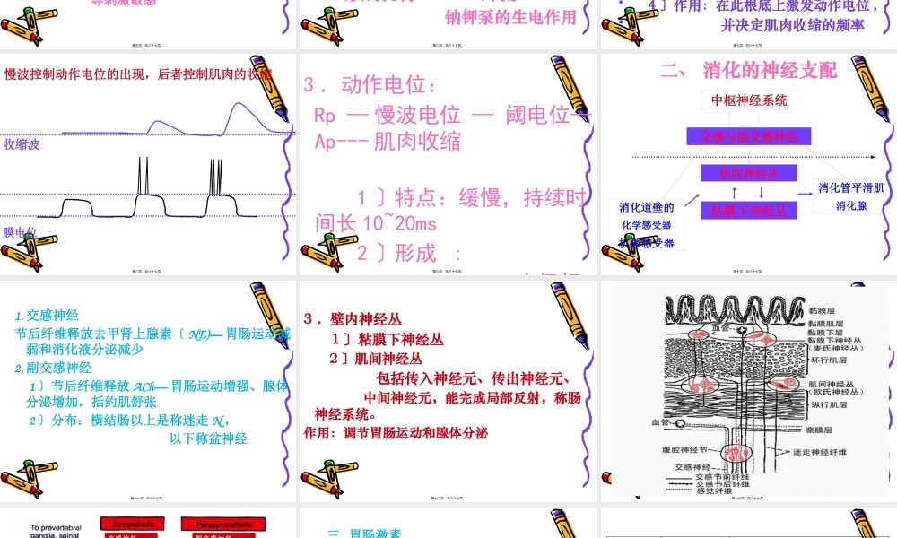 6.消化与吸收概述.pptx