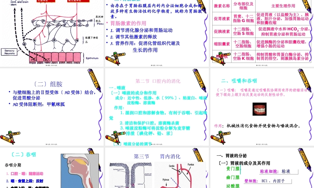 6.消化与吸收概述.pptx