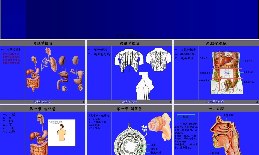6.消化管(厦门医高专).pptx