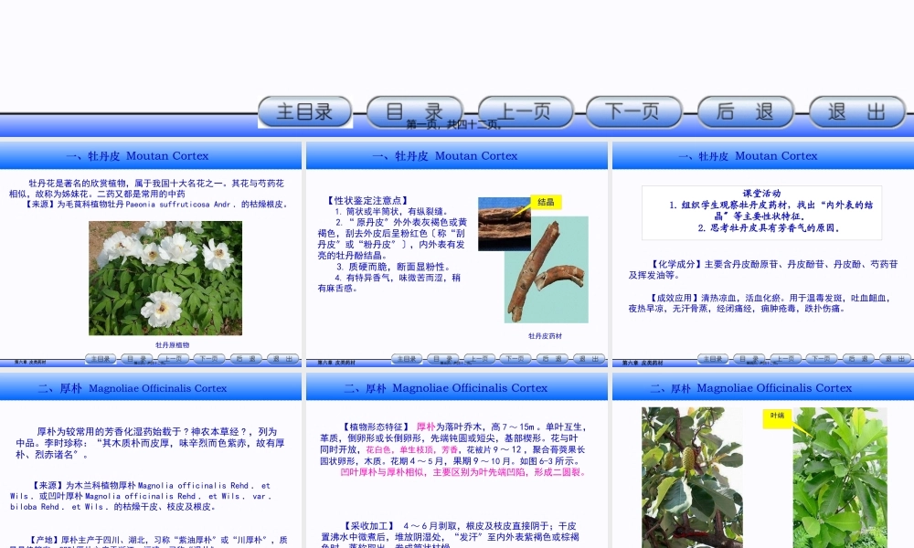 6.皮类药材详解.pptx