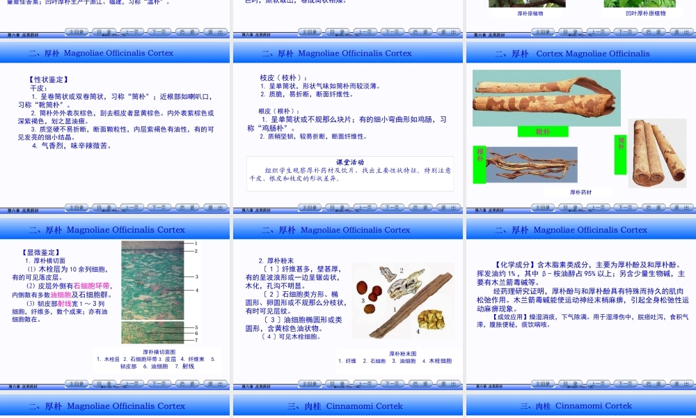 6.皮类药材详解.pptx