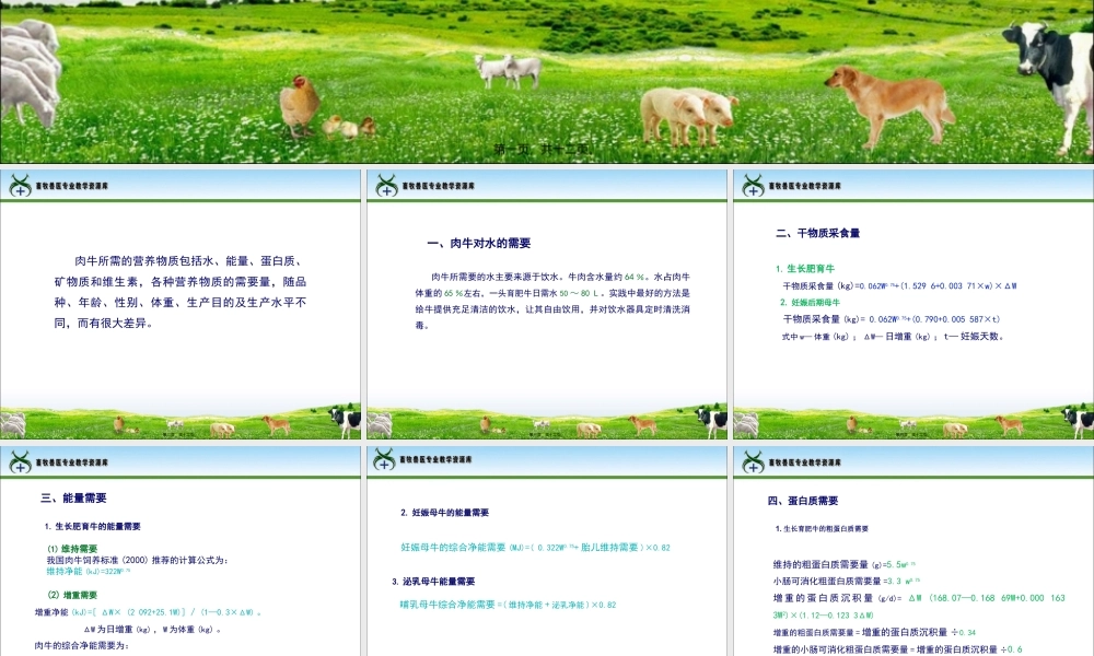 61肉牛的营养需要..pptx