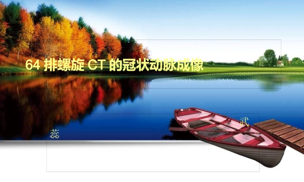 64排CT的冠状动脉成像.pptx
