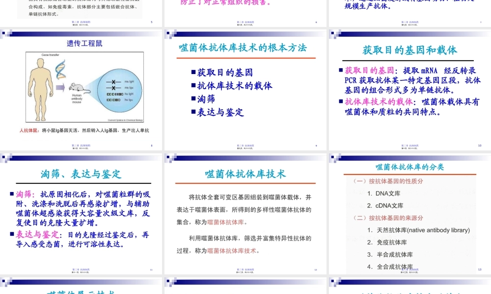 6第三章-抗体制药(二).pptx