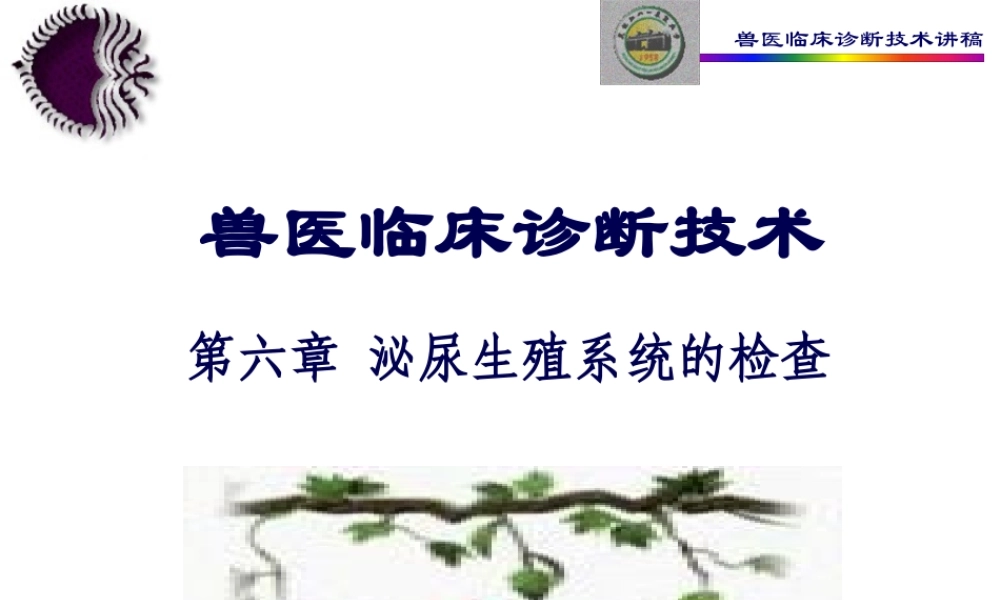 6第六章泌尿生殖系统的检查教程.pptx