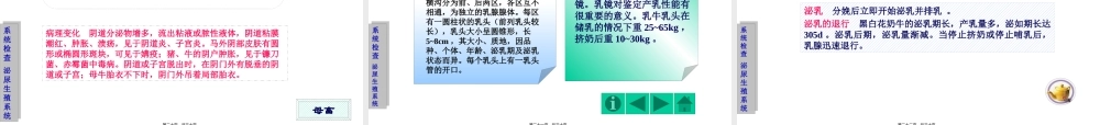 6第六章泌尿生殖系统的检查教程.pptx