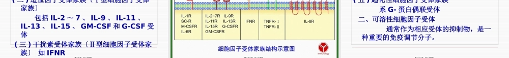 6第六章--细胞因子.pptx