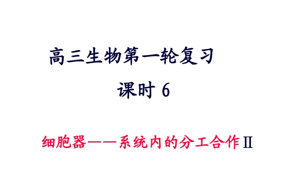 6细胞器——系统内的分工合作.pptx