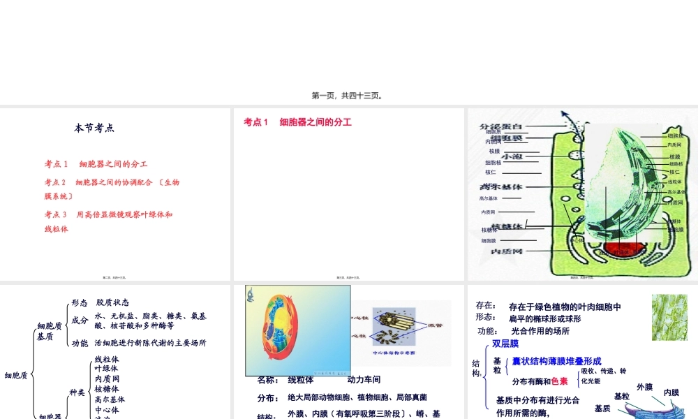 6细胞器——系统内的分工合作.pptx