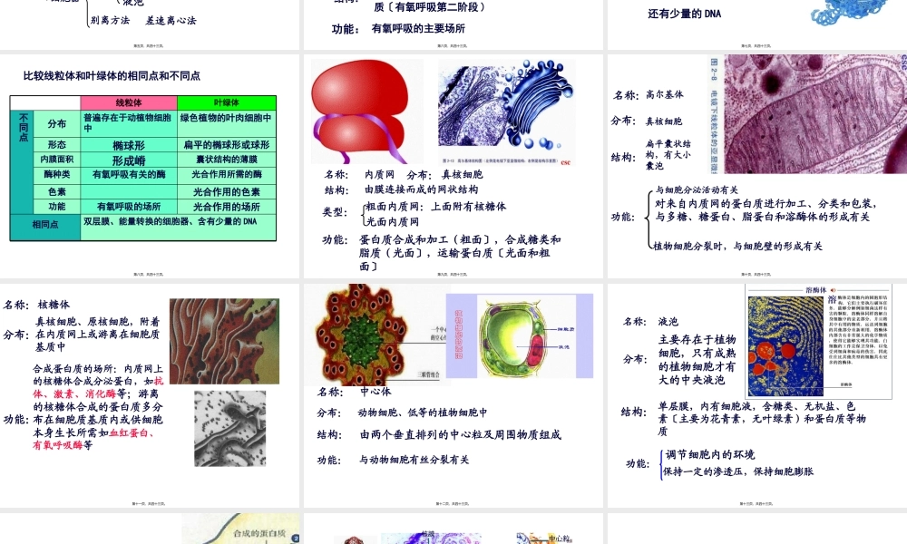 6细胞器——系统内的分工合作.pptx