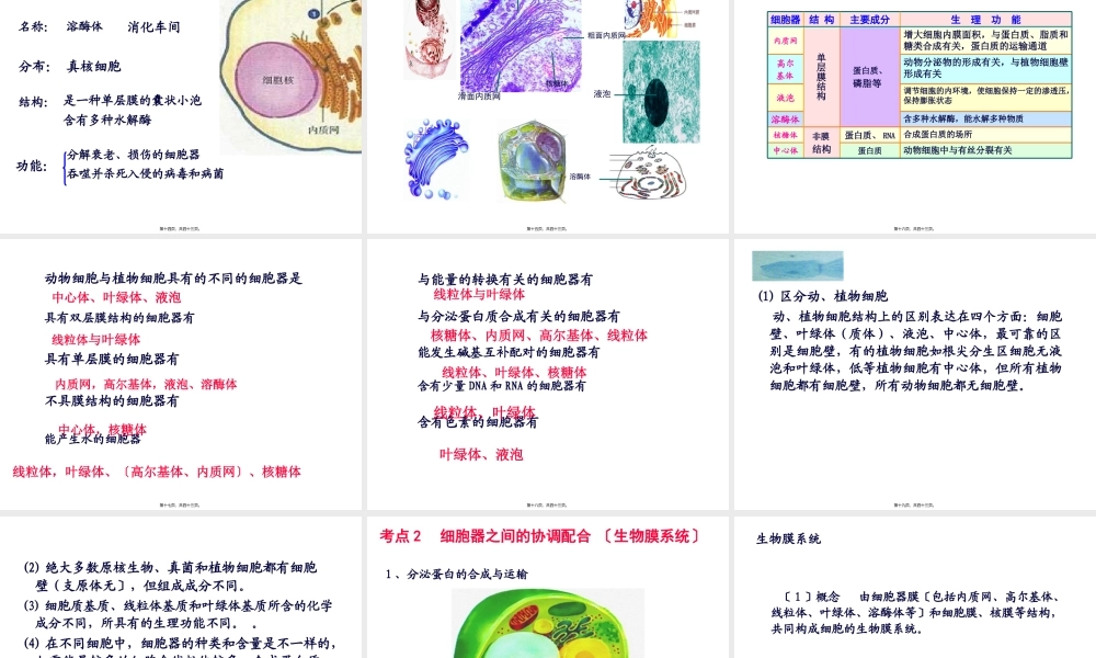 6细胞器——系统内的分工合作.pptx
