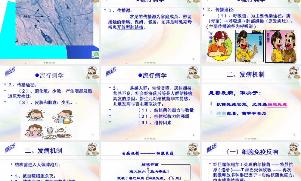 6结核病概述2.pptx
