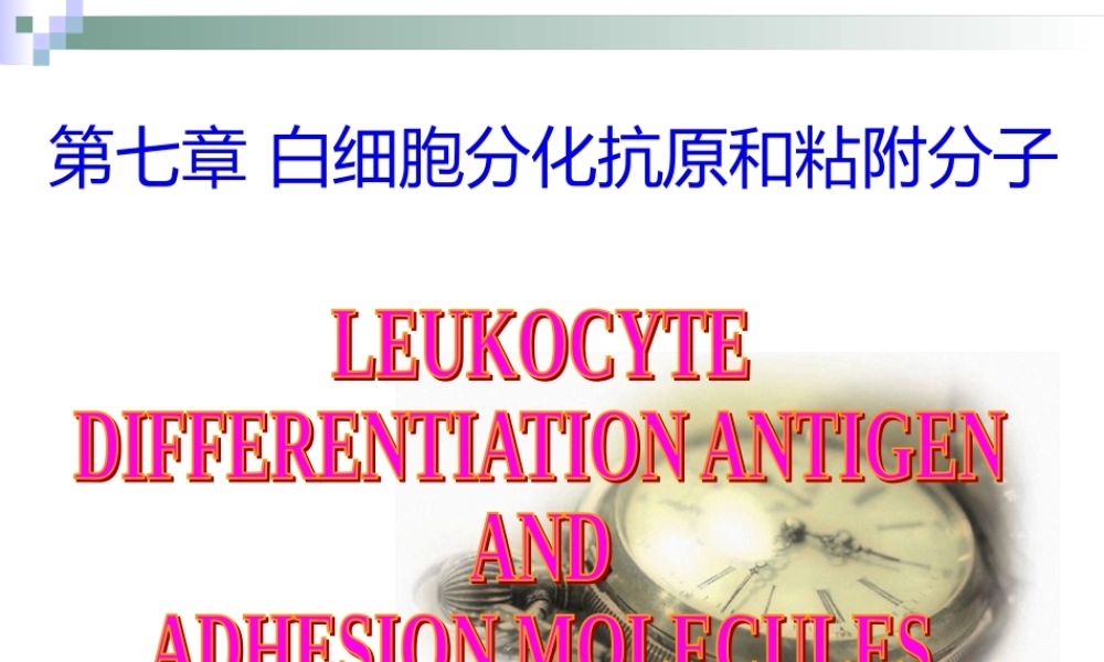 7.白细胞分化抗原和粘附分子.pptx