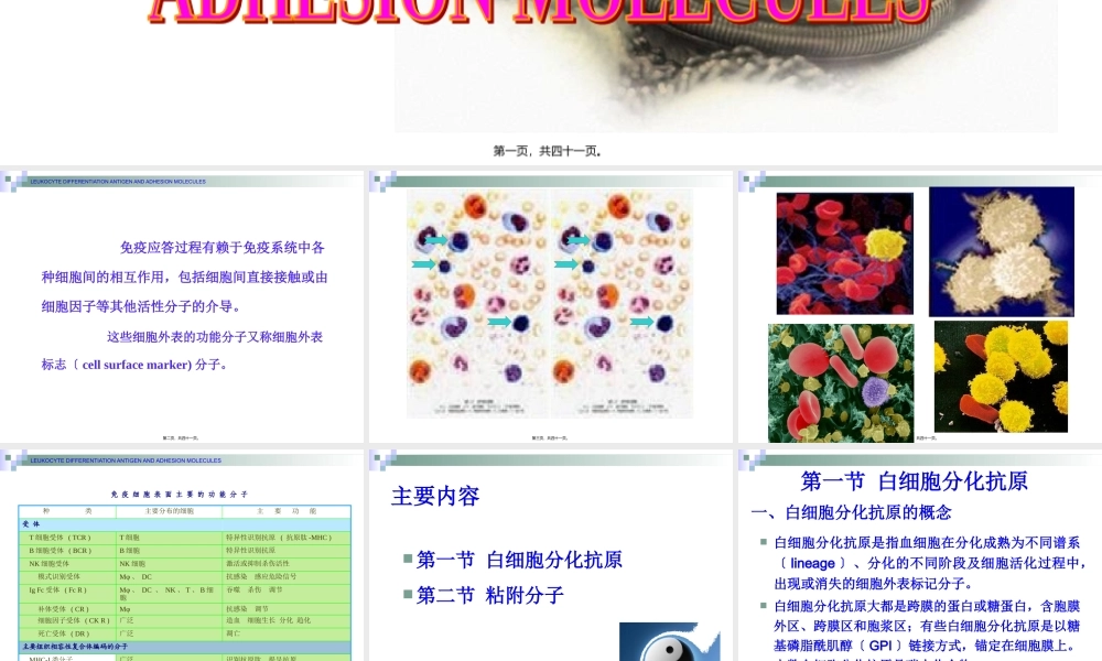 7.白细胞分化抗原和粘附分子.pptx