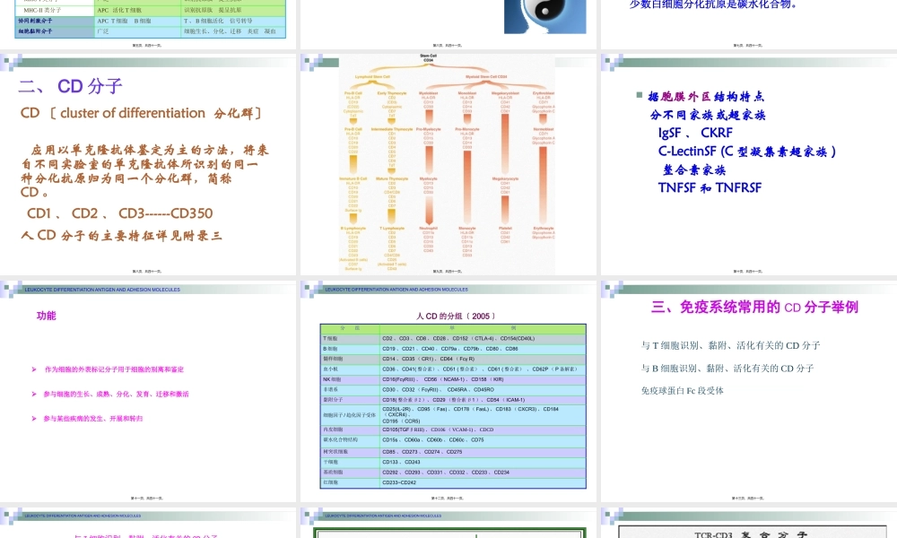 7.白细胞分化抗原和粘附分子.pptx