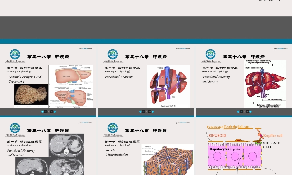 75内科-肝疾病及门脉高压(1).ppt