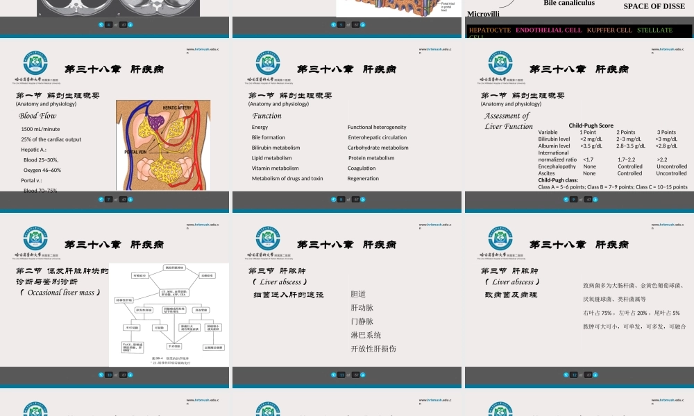 75内科-肝疾病及门脉高压(1).ppt