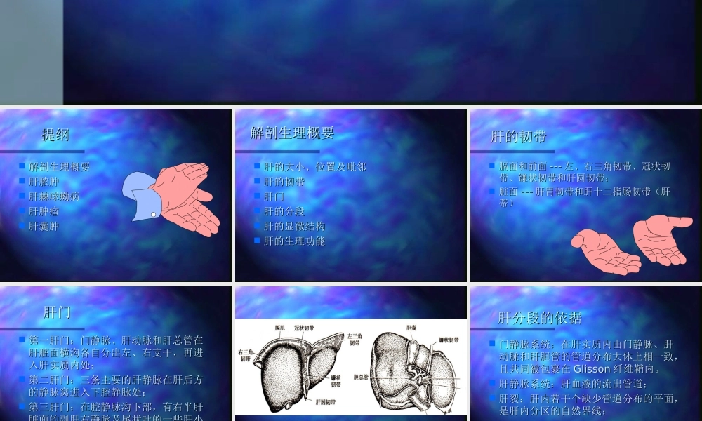 74内科-肝疾病(1).ppt