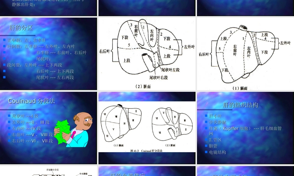 74内科-肝疾病(1).ppt