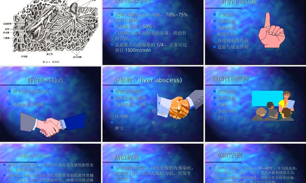 74内科-肝疾病(1).ppt