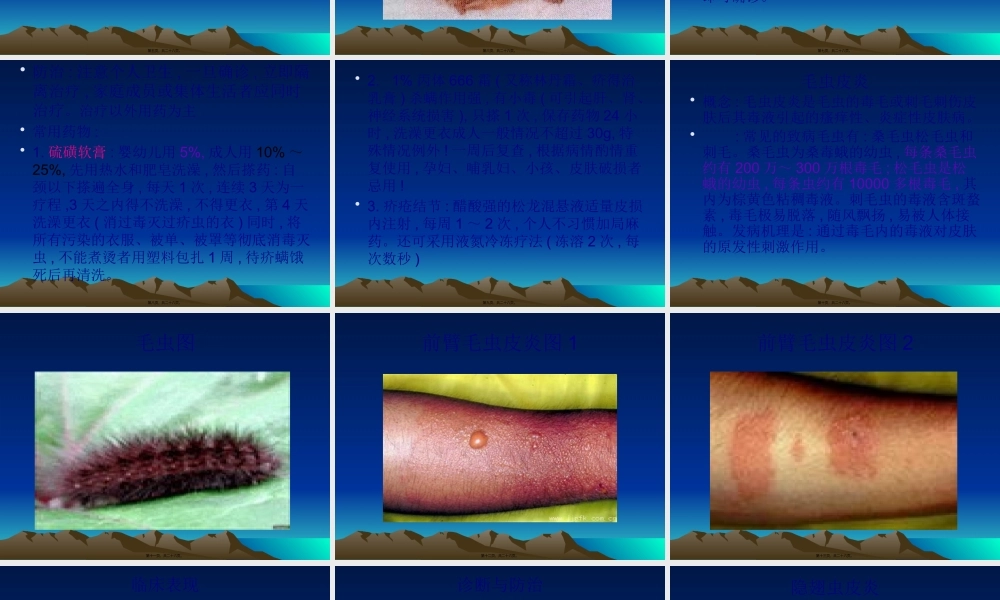 7动物性皮肤病.pptx