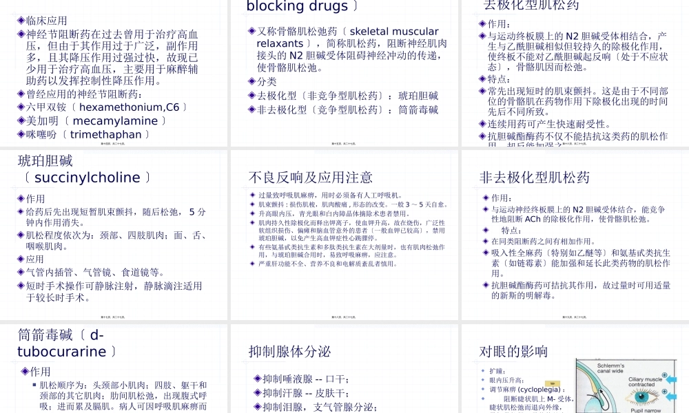 7抗胆碱药.pptx