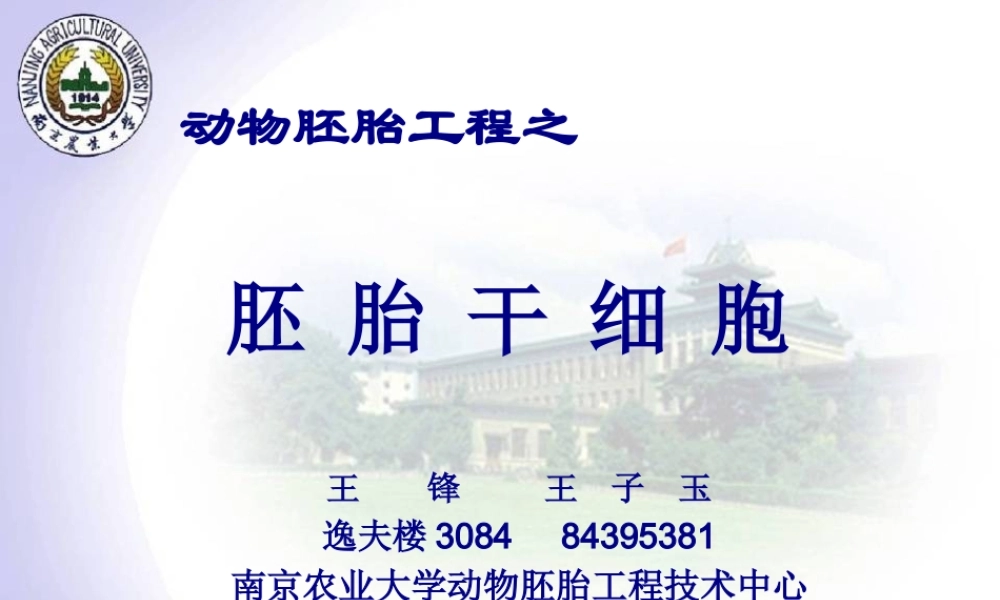 7新4ES胚胎干细胞.pptx