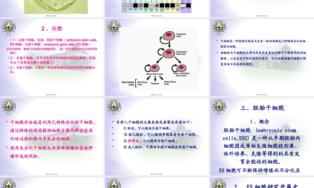 7新4ES胚胎干细胞.pptx
