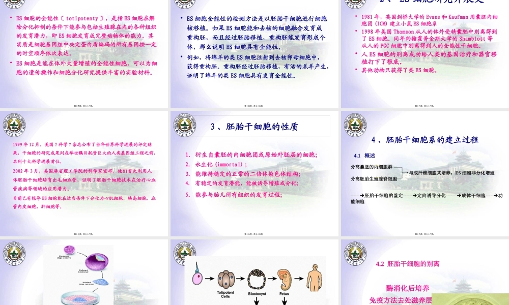 7新4ES胚胎干细胞.pptx