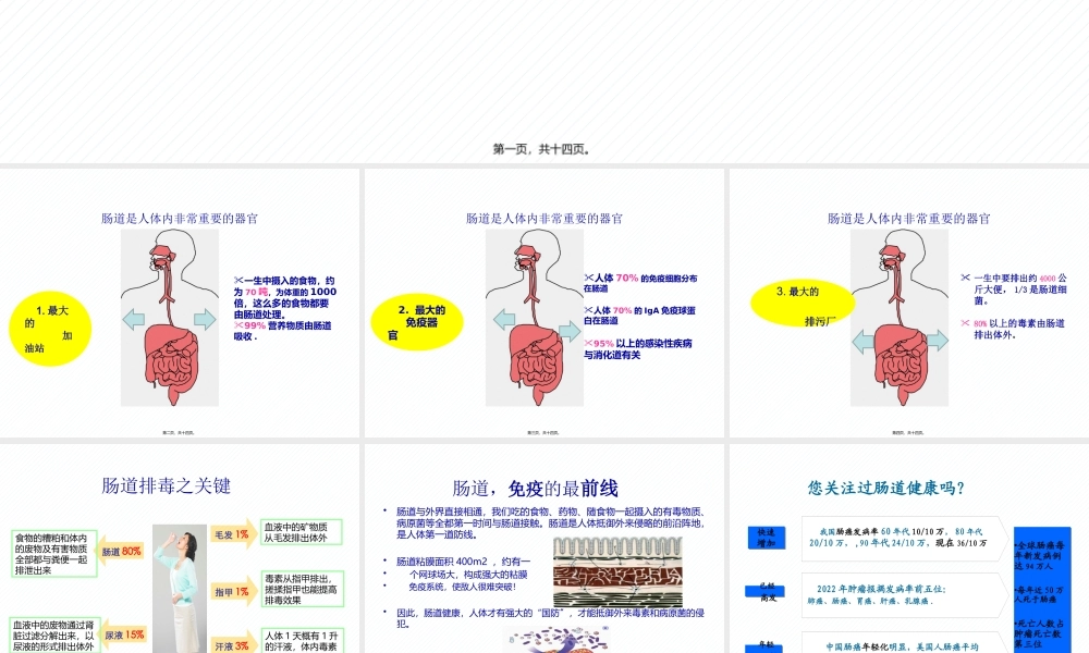 7月6日肠道健康科普讲稿.pptx