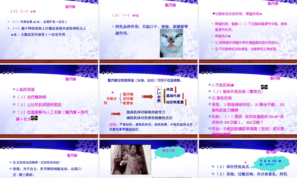 7第七章-雪花-抗精神失常药.pptx