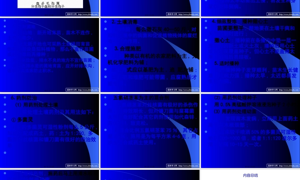 7苗木立枯病和猝倒病.pptx