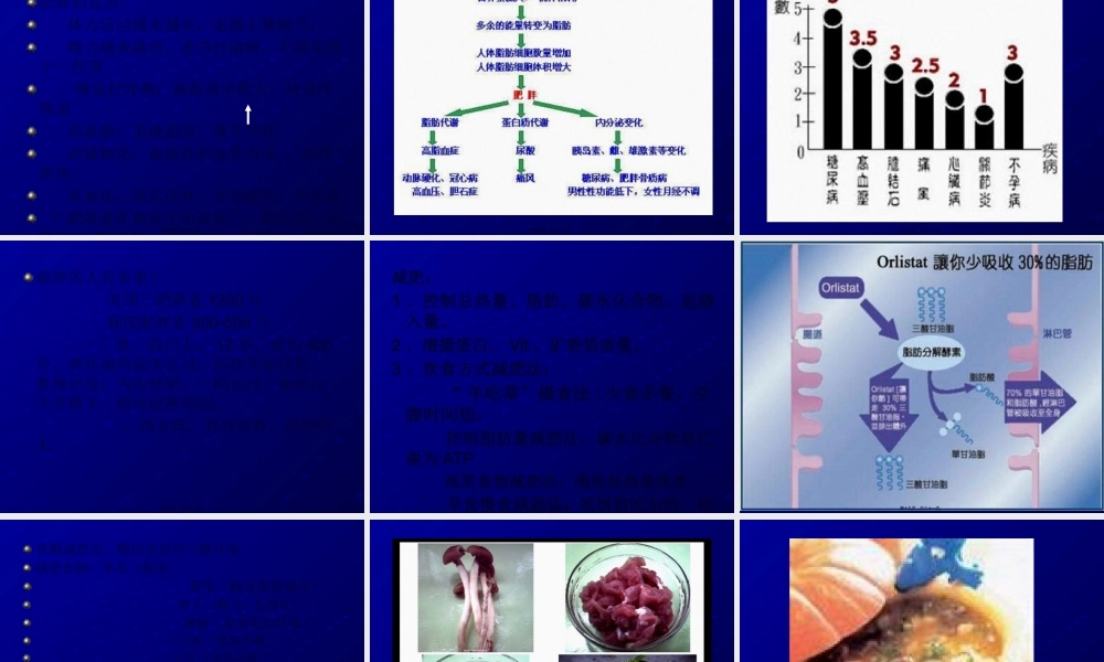 7肥胖与高血压.pptx