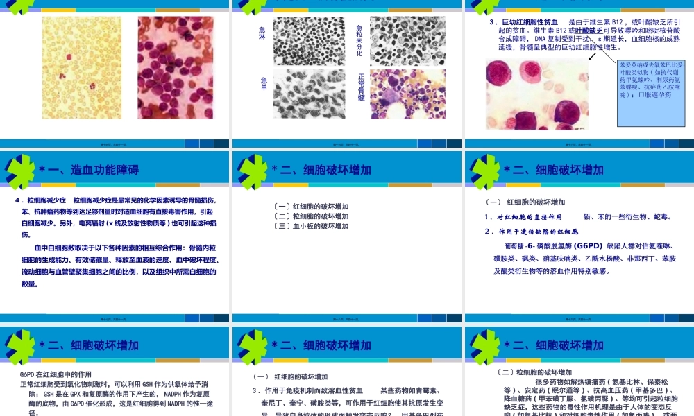 7血液毒理.pptx