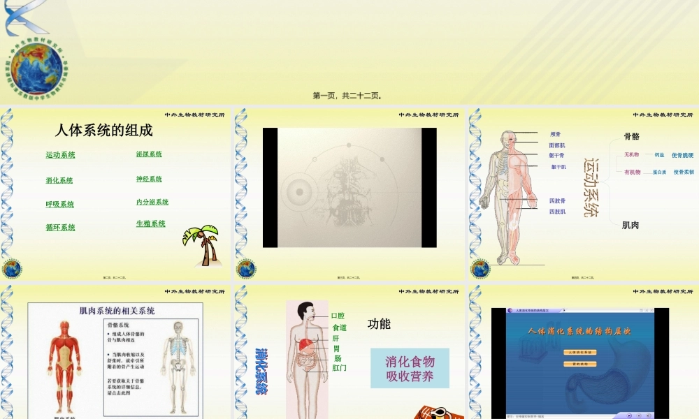 8-3第三节-人体概述.pptx