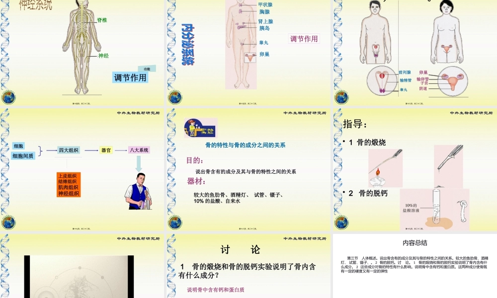 8-3第三节-人体概述.pptx