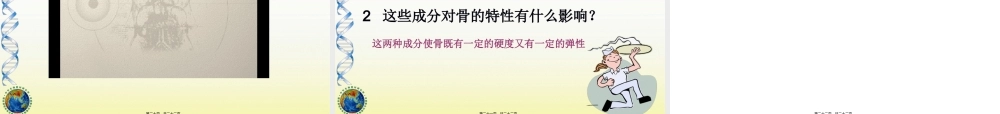 8-3第三节-人体概述.pptx