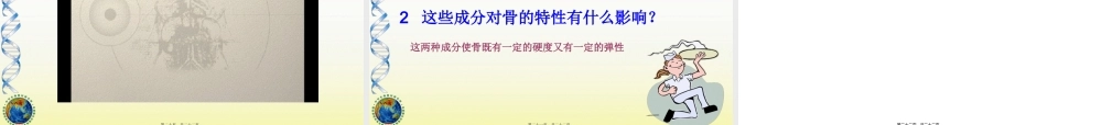 8-3人体概述.pptx