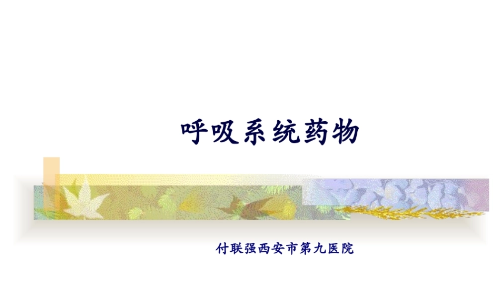 8-呼吸系统用药.pptx