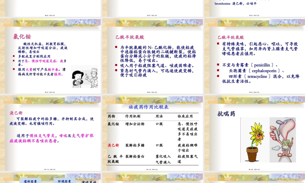 8-呼吸系统用药.pptx